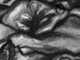 bwpan.jpg