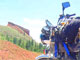 hondasd.jpg